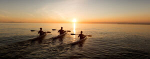 paddle e druck