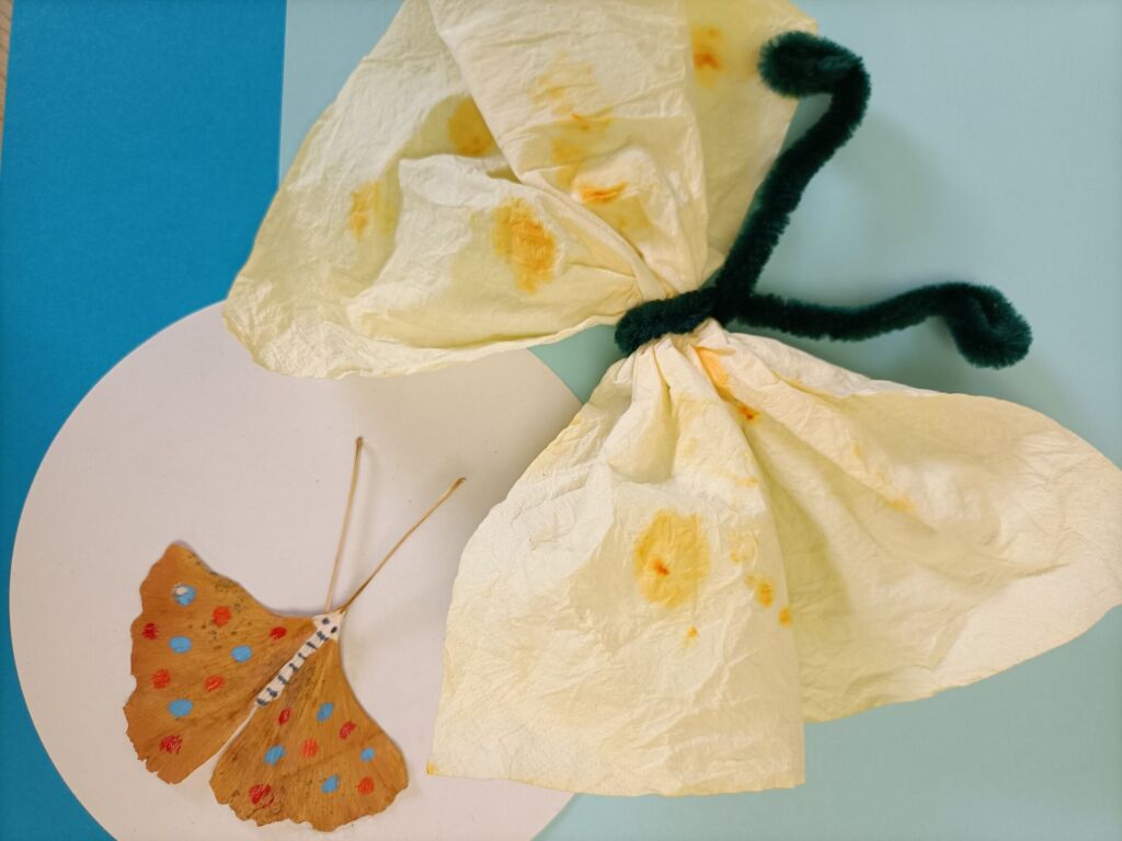 Schmetterlinge