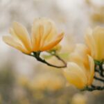 Orchideenwanderung im Rehletal