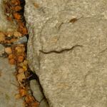 Spaziergang zu den Churfürsten in Sipplingen