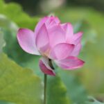 Kleine Schritte zu mehr Wohlbefinden