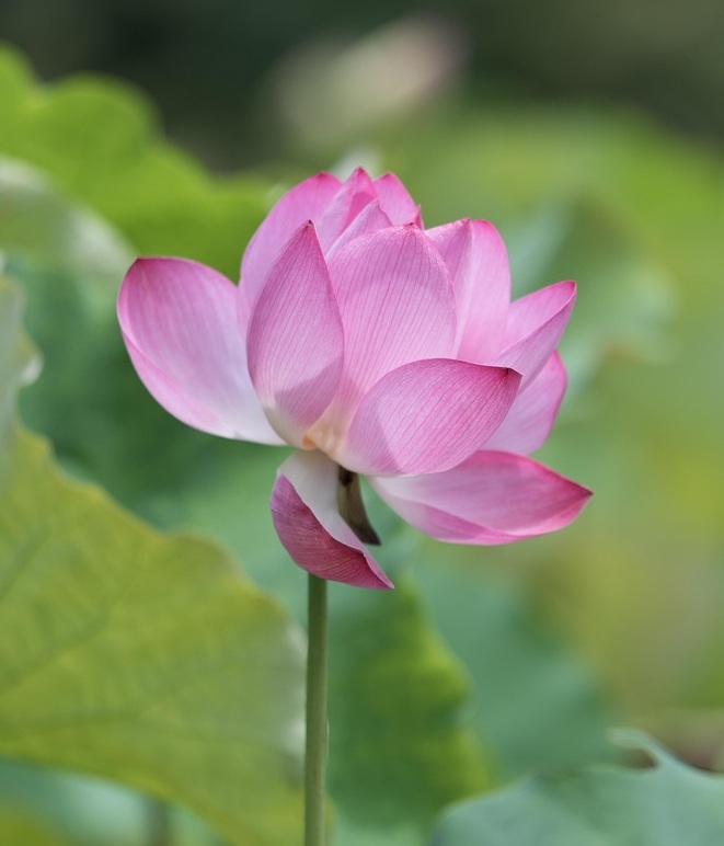 Kleine Schritte zu mehr Wohlbefinden