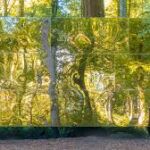 Ausstellung Waldesecho Teil 1 im Schloss Meersburg