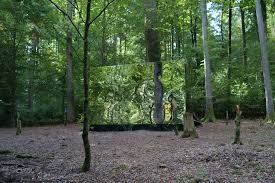 Ausstellung Waldesecho Teil 2