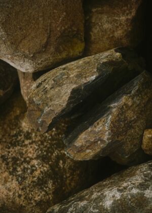 A bird perched on top of a pile of rocks