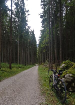 a bike parked on the side of a dirt road
