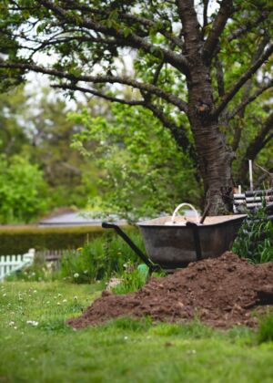 a wheelbarrow in a garden filled with dirt