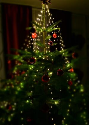 green christmas tree with red baubles
