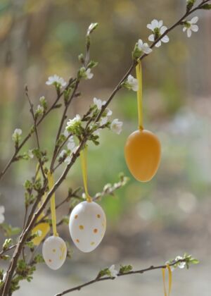 yellow and white round fruits on brown tree branch